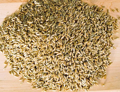 The Surprising Health Benefits of Whole Grain Rye
