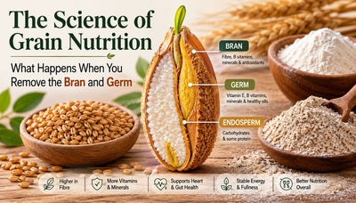 The Science of Grain Nutrition: What Happens When You Remove the Bran and Germ