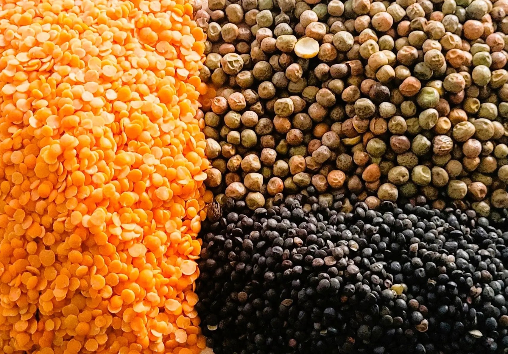 Organic Legumes