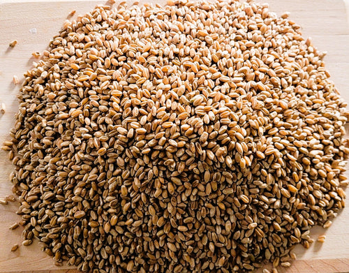 Bulk organic hard red spring wheat  – certified organic Canadian prairie grown – Tevally Organics